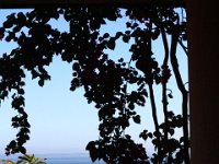 Erster Tag Salvador, Gepäck ist noch auf dem Weg