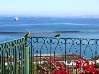 Noch mehr Frühstücksbesuch