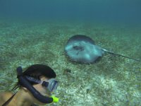 Der Rochen war wenig kooperativ