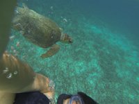 Auch die wollte nicht so richtig