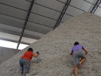 Ein Berg von Baumwollsamen. Da mussten wir rauf!