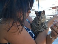 Nina hat ein Kätzchen gefunden.