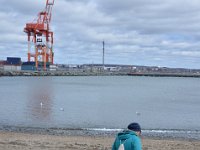 Elbstrand in Hamburg. Oder doch nicht?