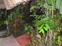 Vor unsere Hütte tropft es ein wenig.