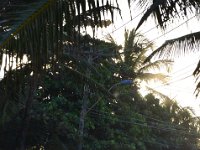 Abendlicht in Salvador.