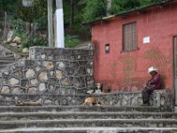 Der alte Mann und die Hunde.