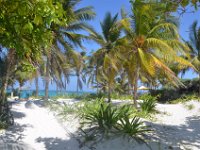 Palmen. Und Strand. Und Karibik.