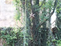 Guadalajara, Tequila