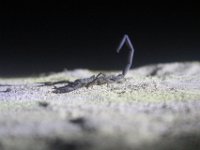 Begegnung beim Stromausfall