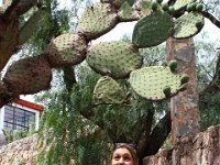 Nina steht auf Kakteen